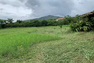 Condominio Campestre Las Colinas De Niza, Irving, TX - Photo 5