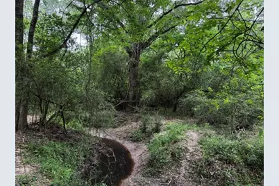 10455 Idaho, Midway, TX 75852 - Photo 21