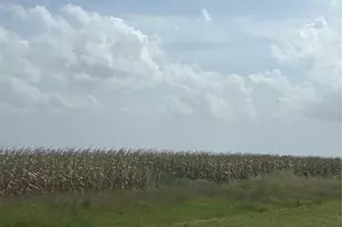 000 County Road 3364, Alice, TX 78332 - Photo 1