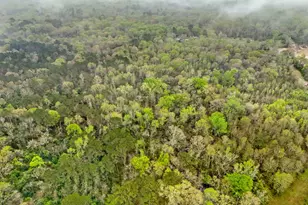 10211 S Essex Dr, Conroe, TX 77302 - Photo 7