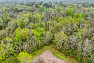 10211 S Essex Dr, Conroe, TX 77302 - Photo 19