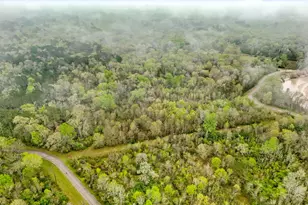 10211 S Essex Dr, Conroe, TX 77302 - Photo 5