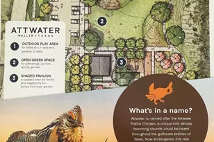 637 Cross Timbers Trce, Waller, TX 77447 - Photo 35