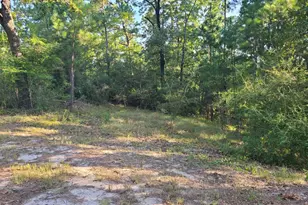 190 Michaels Ln, Huntsville, TX 77320 - Photo 7