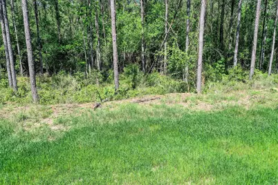Tbd Queen Anne Way, Huntsville, TX 77340 - Photo 19