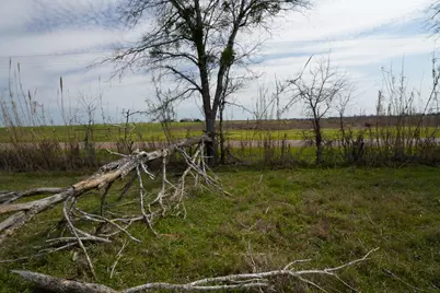 1011 Fm 956, Schulenburg, TX 78956 - Photo 7