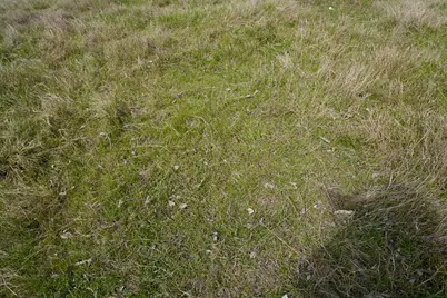 1011 Fm 956, Schulenburg, TX 78956 - Photo 9