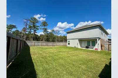 24463 Saffron Field Lane, Spring, TX 77373 - Photo 9