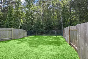 255 S Spotted Fern Dr, Montgomery, TX 77316 - Photo 29