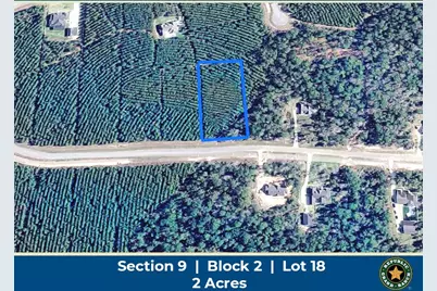 16222 Ridge Oak Road, Willis, TX 77378 - Photo 1