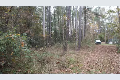 0 E Mourning Dove, Coldspring, TX 77331 - Photo 7