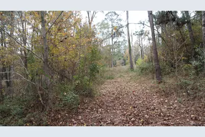 0 E Mourning Dove, Coldspring, TX 77331 - Photo 3