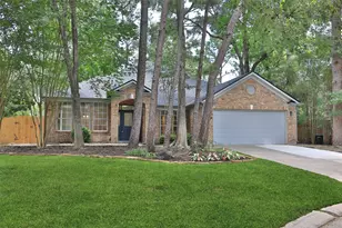 60 W Twinberry Pl, The Woodlands, TX 77381 - Photo 1