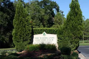 42 Golden Shadow Cir, The Woodlands, TX 77381 - Photo 5
