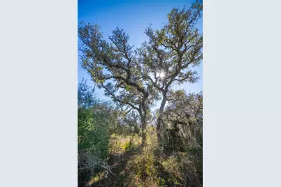 1293 Pintail, Rock Island, TX 78934 - Photo 17