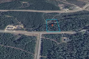 15720 Grey Hawk Ln, Willis, TX 77378 - Photo 1