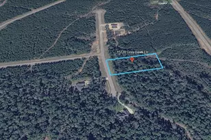 15720 Grey Hawk Ln, Willis, TX 77378 - Photo 3