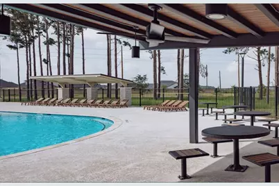 21619 Flannel Bush Ln, Cypress, TX 77433 - Photo 31