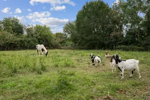 1535 Mulberry St, Tomball, TX 77375 - Photo 39