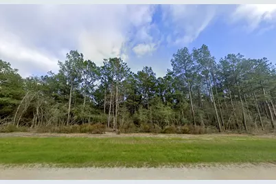16247 Golden Wood Court, Willis, TX 77378 - Photo 3