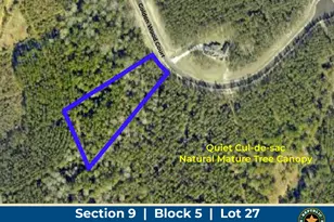 16247 Golden Wood Ct, Willis, TX 77378 - Photo 1