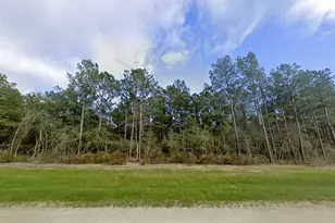 16247 Golden Wood Ct, Willis, TX 77378 - Photo 3