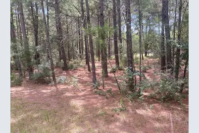 15310 Thistle Down, Cypress, TX 77429 - Photo 3