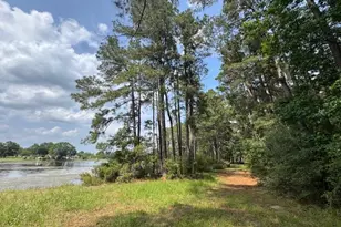 91 Meadow Lake Dr, Trinity, TX 75862 - Photo 1