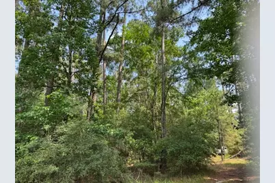 91 Meadow Lake Drive, Trinity, TX 75862 - Photo 9