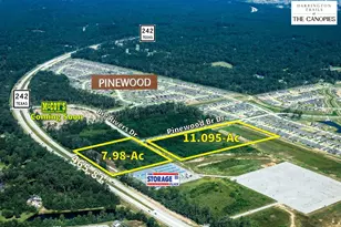 21913 State Hwy 242, New Caney, TX 77357 - Photo 3