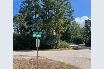 116 Water Oak, Livingston, TX 77351 - Photo 1