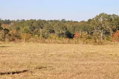 Tbd Winfrey Rd, Coldspring, TX 77331 - Photo 5