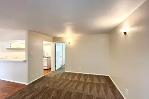 3629 N Macgregor Way, Houston, TX 77004 - Photo 3