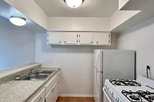3629 N Macgregor Way, Houston, TX 77004 - Photo 9