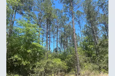 Lot 39 Carter Ranch Road, Kountze, TX 77625 - Photo 7