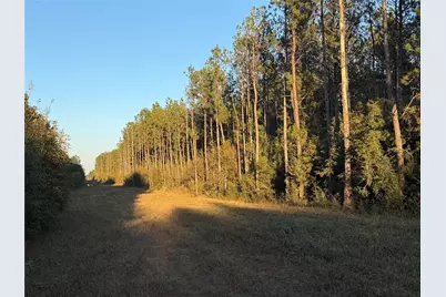 Lot 39 Carter Ranch Road, Kountze, TX 77625 - Photo 1