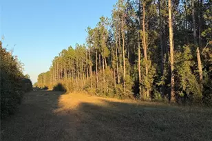Lot 39 Carter Ranch Rd, Kountze, TX 77625 - Photo 1