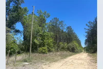 Lot 39 Carter Ranch Road, Kountze, TX 77625 - Photo 5