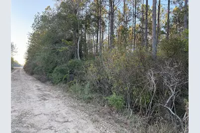 Lot 39 Carter Ranch Road, Kountze, TX 77625 - Photo 5