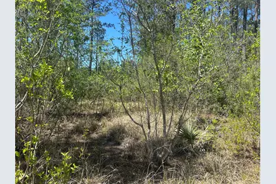 Lot 39 Carter Ranch Road, Kountze, TX 77625 - Photo 3