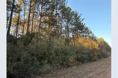 Lot 39 Carter Ranch Road, Kountze, TX 77625 - Photo 3