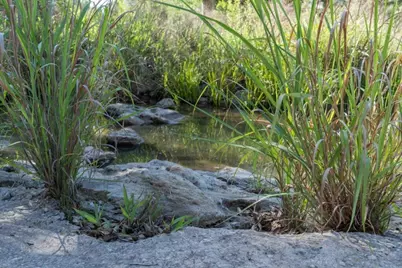 47 Acres White Oak Rd, Fredericksburg, TX 78624 - Photo 35