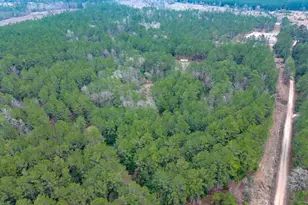 209 Joskey Dykes Rd, Zavalla, TX 75980 - Photo 1