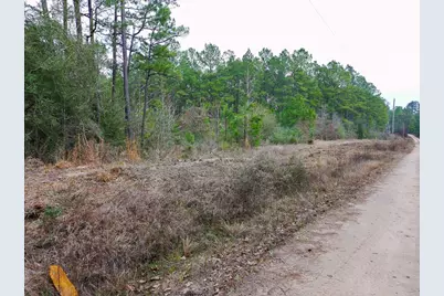 209 Joskey Dykes Road, Zavalla, TX 75980 - Photo 9