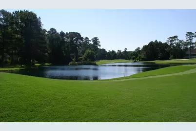 6 W Prairie Dawn Circle, The Woodlands, TX 77385 - Photo 23