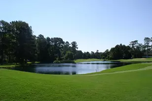 6 W Prairie Dawn Cir, The Woodlands, TX 77385 - Photo 23