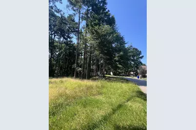 1981 La Salle Park Drive, Conroe, TX 77304 - Photo 7