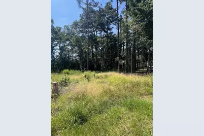 1981 La Salle Park Drive, Conroe, TX 77304 - Photo 9