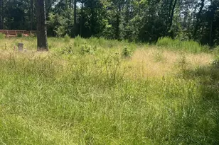 1981 La Salle Park Dr, Conroe, TX 77304 - Photo 1