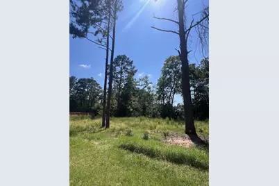 1981 La Salle Park Drive, Conroe, TX 77304 - Photo 5